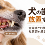 犬の歯に付着した歯石と歯ぐきの炎症を示した歯科解説画像