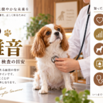 聴診を受ける犬。犬の心雑音の原因、グレード1〜6、子犬と成犬の違い、心エコー検査、受診の目安を解説する記事のアイキャッチ画像