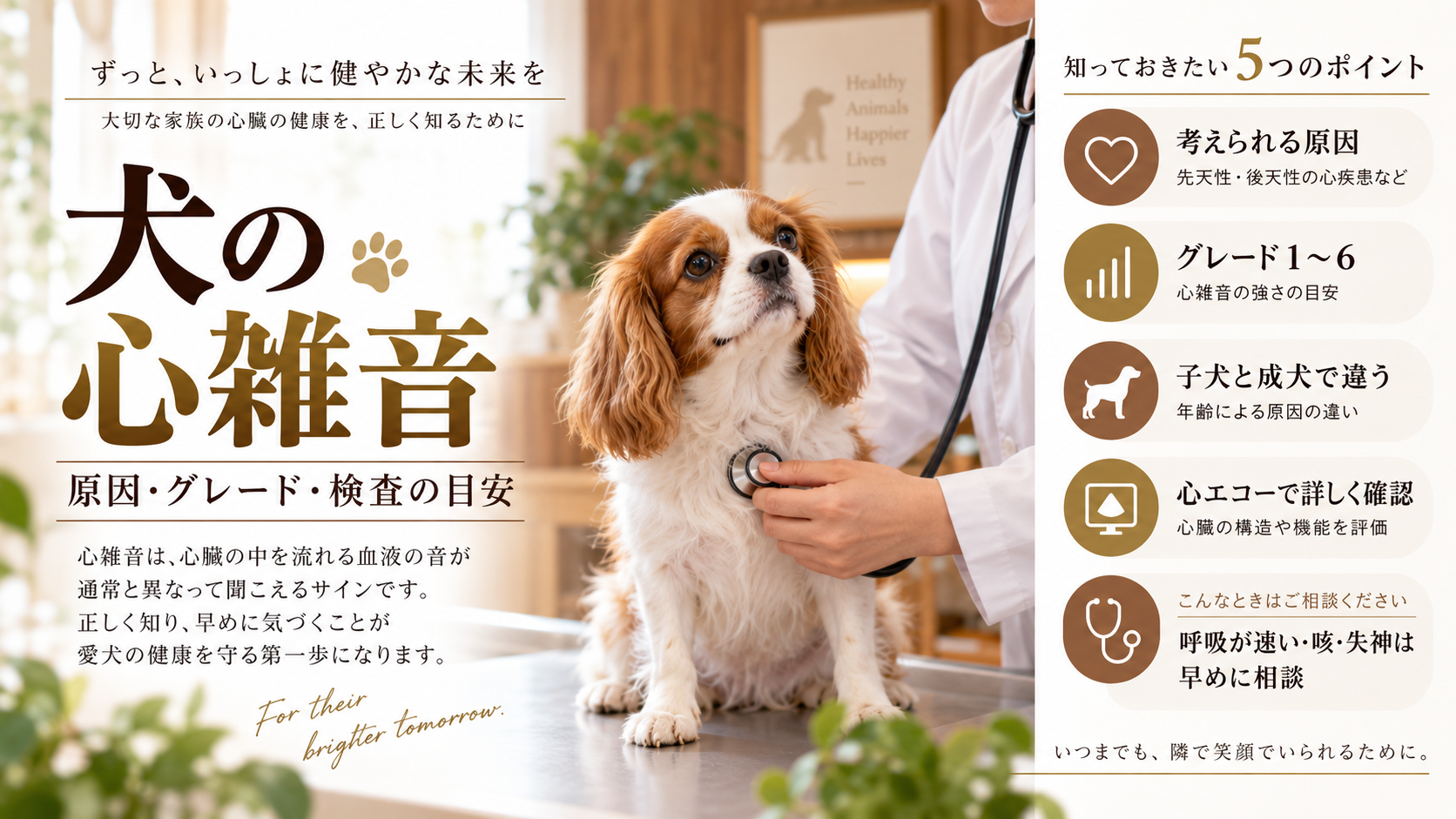 聴診を受ける犬。犬の心雑音の原因、グレード1〜6、子犬と成犬の違い、心エコー検査、受診の目安を解説する記事のアイキャッチ画像