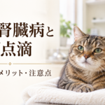 輸液バッグを背景に休む猫と、猫の腎臓病に対する皮下点滴の必要性・メリット・注意点を示す見出し
