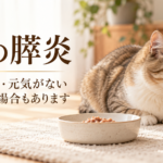 食事の器から顔を背けて休む猫。「猫の膵炎」「食べない・元気がない」「吐かない場合もあります」と記載した説明用画像。
