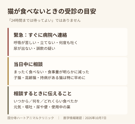 緊急症状ではすぐ病院へ連絡し、まったく食べない・食事量が明らかに減った場合は当日中に相談。食事量、元気、嘔吐、尿や便、使用中の薬を伝える。
