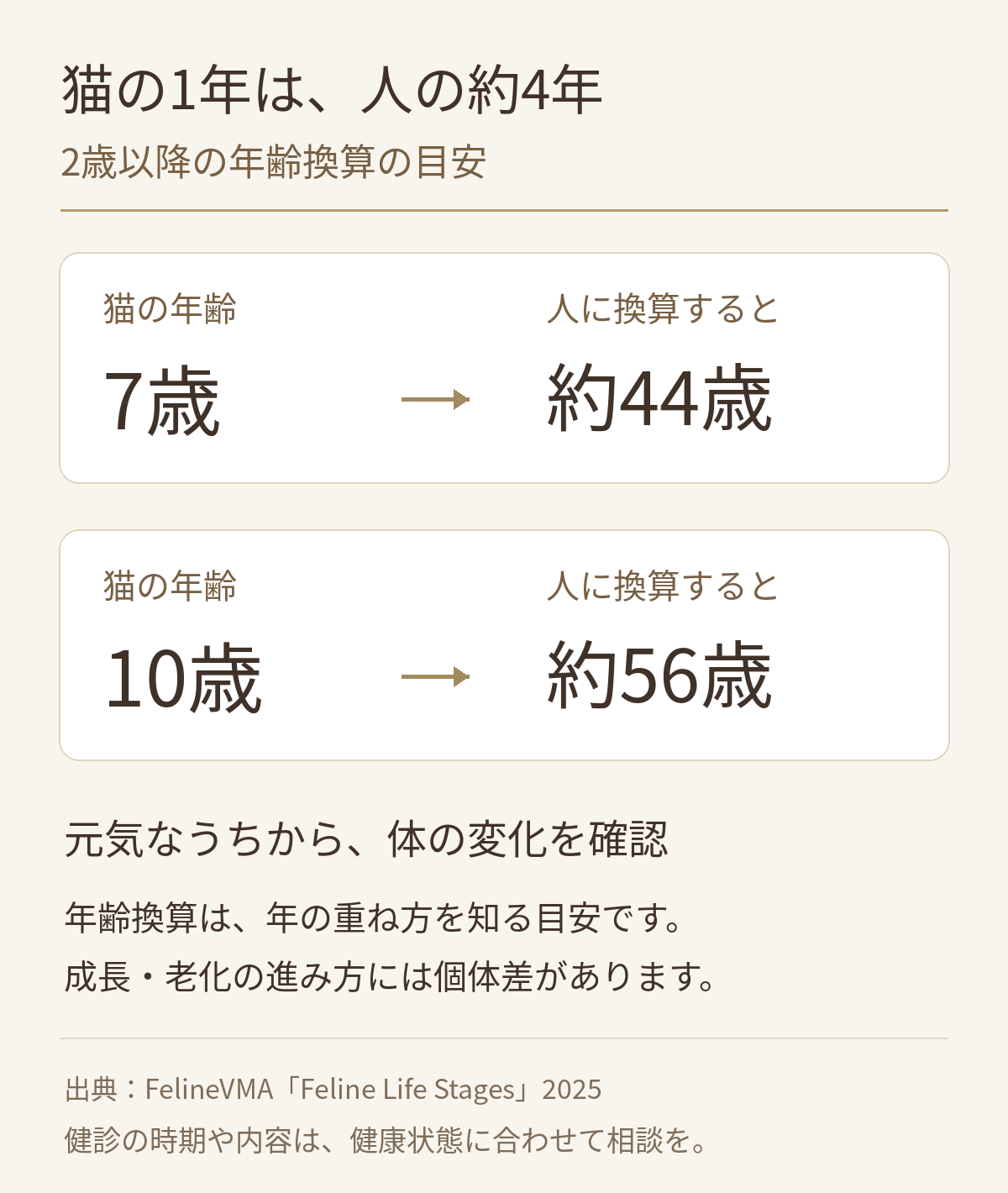 2歳以降の猫の1年は人の約4年に相当する年齢換算の図解。猫の7歳は人の約44歳、10歳は約56歳が目安。