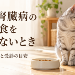 腎臓病用の食事を残している猫と、療法食の切り替え方・受診の目安の案内