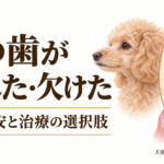 先端が欠けた犬歯の模式図とトイプードル。犬の歯の破折の受診目安と治療を解説する画像。