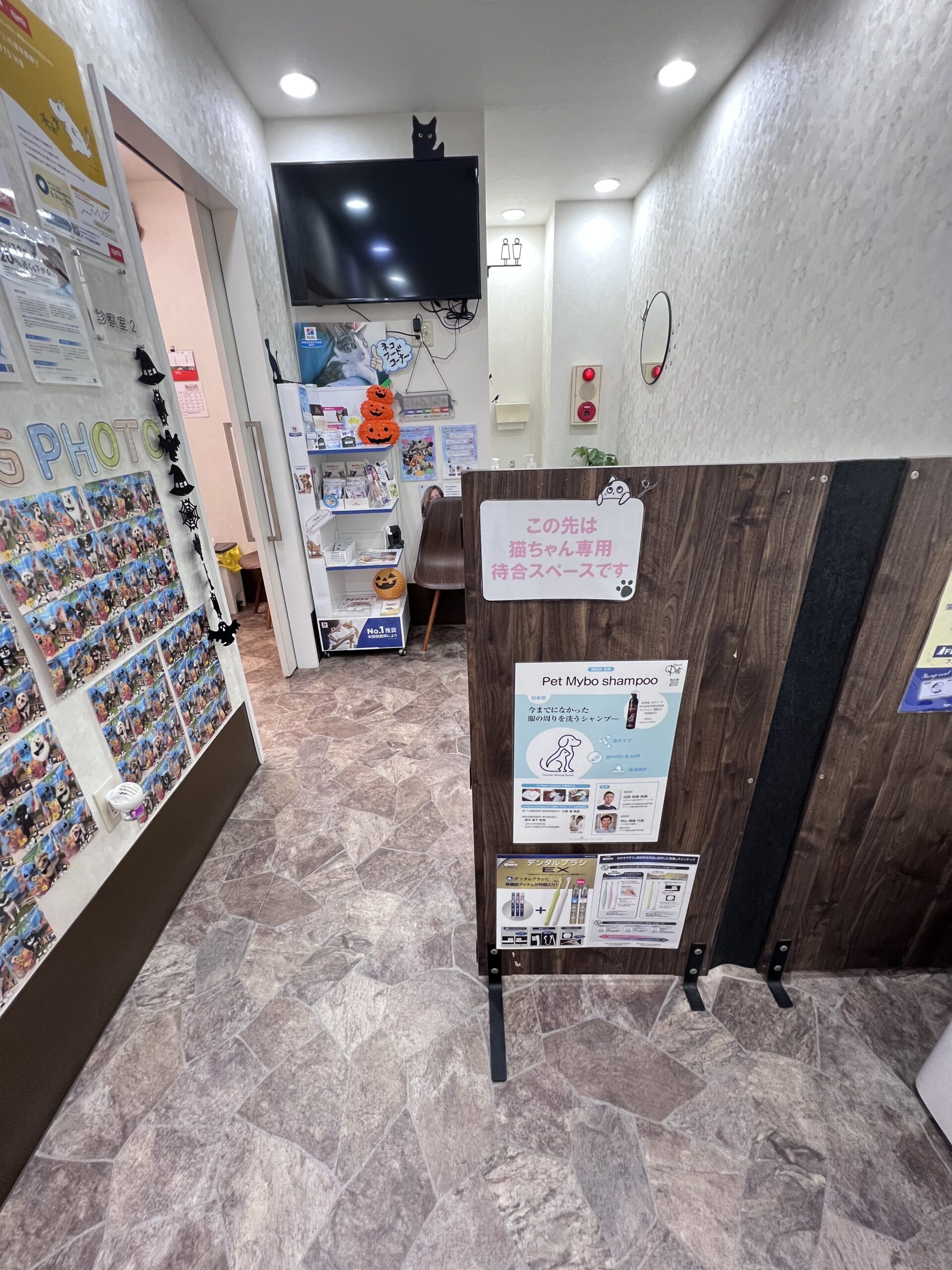 当院の猫ちゃん専用待合スペースと木目の仕切り