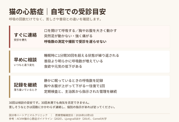 猫の心筋症の受診目安。苦しそうな呼吸や突然の足の異常はすぐに連絡し、睡眠時呼吸数の増加が続く場合は早めに相談する。