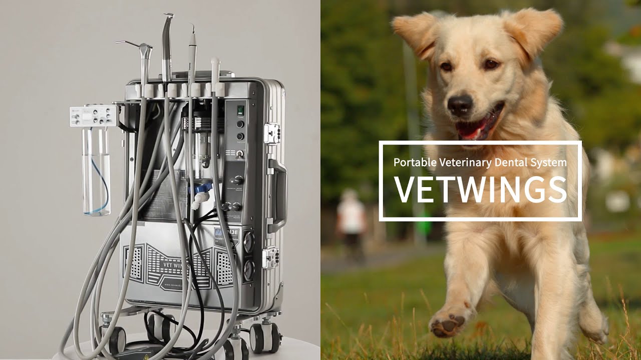 VETWINGSの本体と製品名を掲載した製造元INJEの公式紹介動画画像