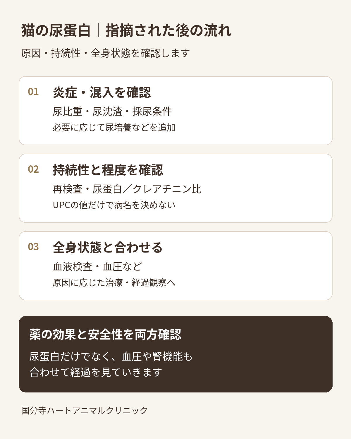 猫の尿蛋白を指摘された後に、炎症・混入、蛋白尿の持続性と程度、全身状態を確認し、治療と経過観察を決める図