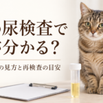 猫とふた付きの尿検体容器。「猫の尿検査で何が分かる？検査結果の見方と再検査の目安」の見出し
