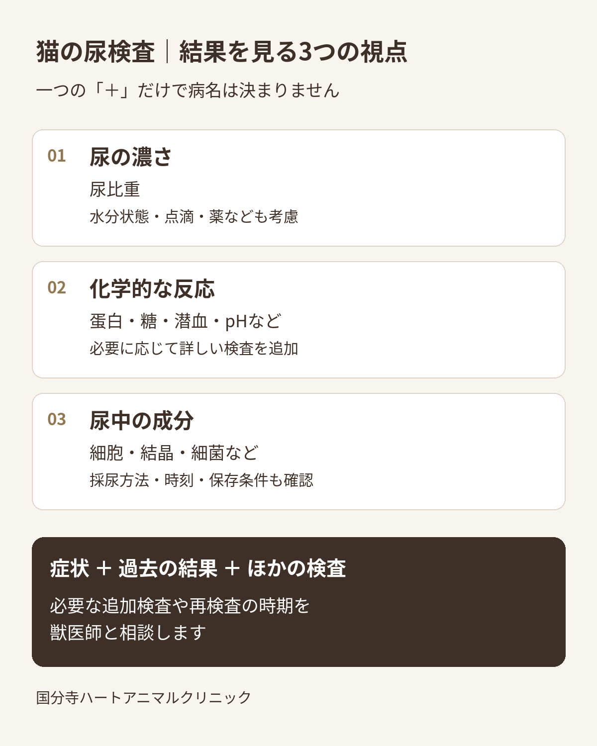 猫の尿検査を、尿の濃さ、化学的な反応、尿中の成分の3つに整理。症状・過去の結果・ほかの検査と合わせて判断する図