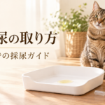 猫と、清潔なトレー・スポイト・ふた付き採尿容器。「猫の尿の取り方 ご家庭での採尿ガイド」の見出し