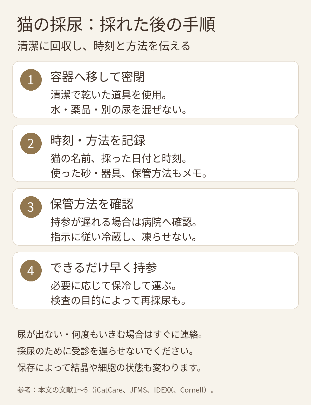 猫の採尿後の4手順。清潔な容器に回収して密閉、採尿時刻と方法を記録、持参が遅れる場合の保管を確認、できるだけ早く病院へ持参