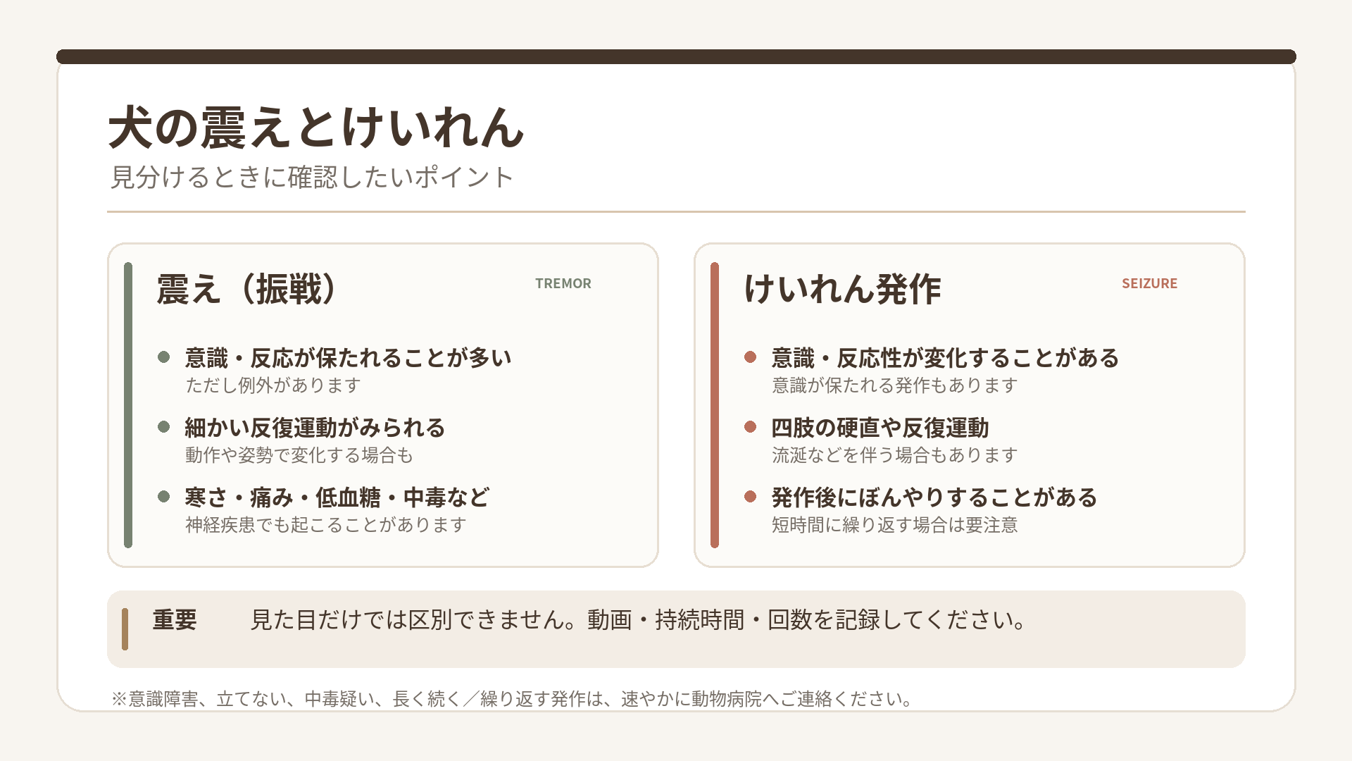 犬の震えとけいれん発作の特徴を比較し、意識が保たれる発作もあることと、動画・持続時間の記録を説明した図