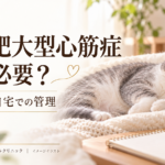 猫の肥大型心筋症の薬と自宅管理をテーマに、眠る猫と呼吸観察用のタイマー・記録帳を描いたイメージイラスト。