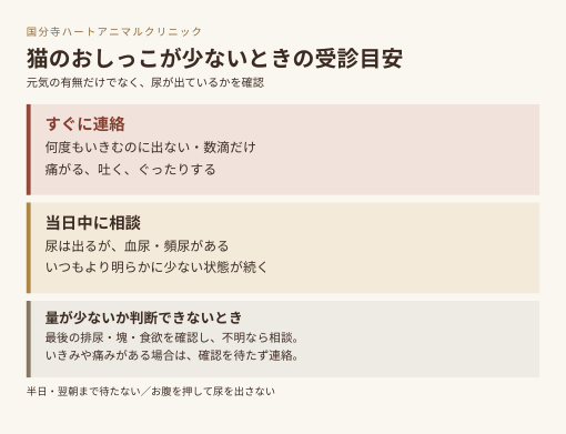 何度もいきむのに尿が出ない・数滴だけならすぐに連絡。血尿・頻尿や尿量の減少が続く場合は当日中に相談。判断できない場合も病院へ相談してください。