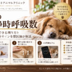 眠っている犬の安静時・睡眠時呼吸数を胸やお腹の上下で1分間測る方法と、心臓病で注意する変化を解説する画像