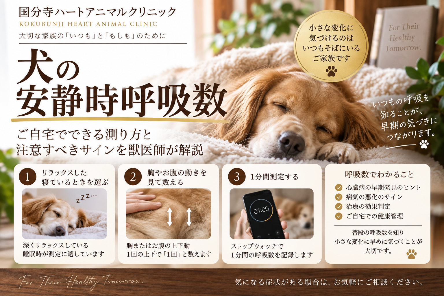 眠っている犬の安静時・睡眠時呼吸数を胸やお腹の上下で1分間測る方法と、心臓病で注意する変化を解説する画像