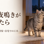 夜の寝室の入口で鳴くシニア猫と「猫の夜鳴きが増えたら」の見出し